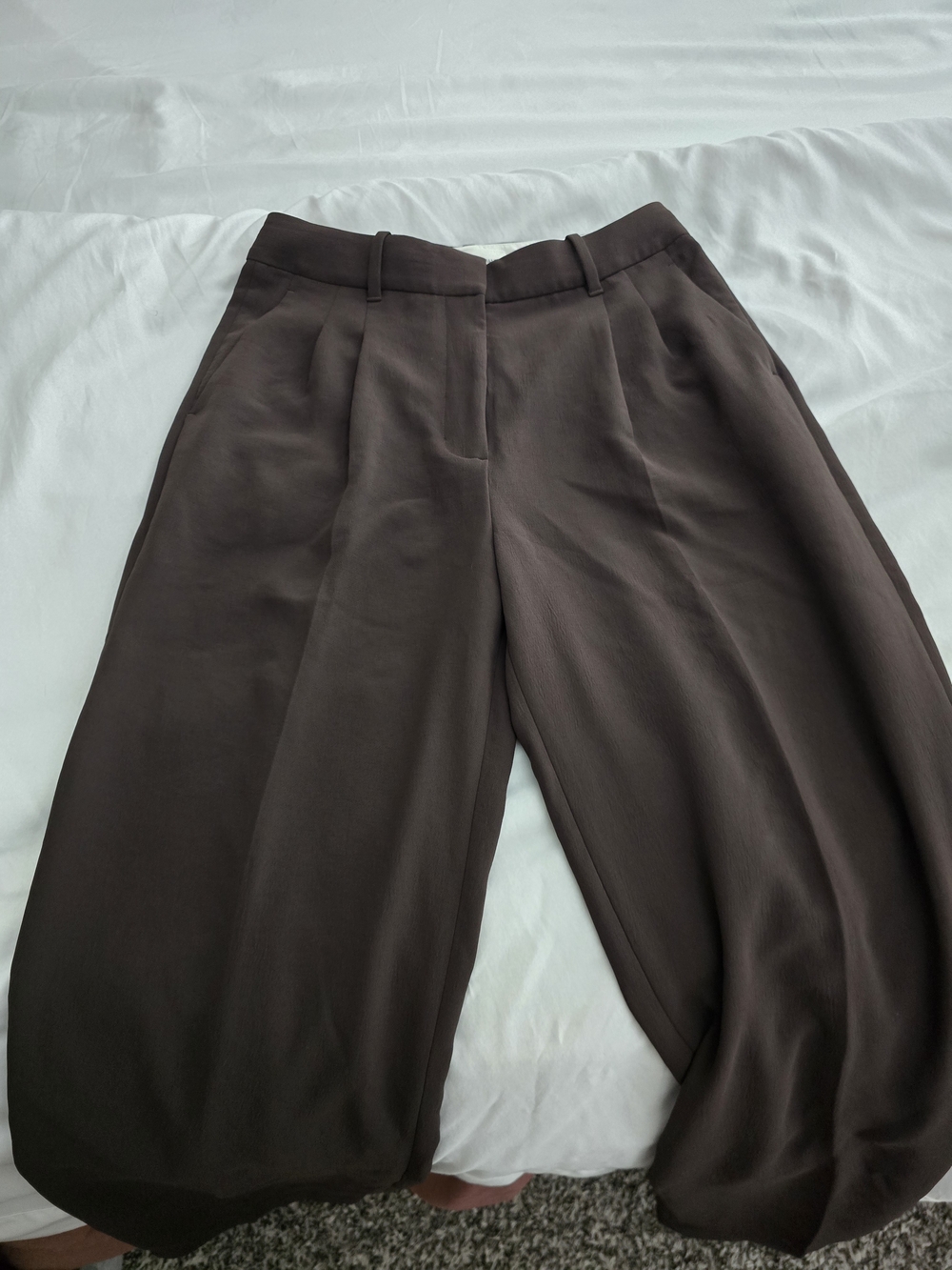 Aritzia The Effortless Wide-Leg Pleated Trousers in Dark Brown